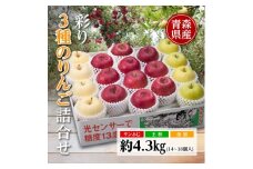 りんご/青森県産　彩り3種のりんご詰合せ 約4.3kg【1655312】