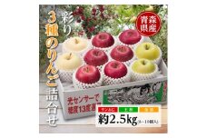 りんご/青森県産　彩り3種のりんご詰合せ 約2.5kg【1655314】