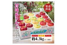 りんご/青森県産　彩り3種甘味系りんご詰合せ(高糖度)約4.3kg【1655321】