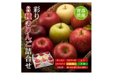 りんご/青森県産　彩り8種のりんご詰合せ【1655324】