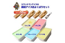 よくばりアイスセット＜ケースアイス×5種類・コーン×50個・盛り付け用ヘラ付き＞【1657753】