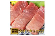 大間産本マグロ 赤身と中トロセット 各200g前後(合計400g前後)【1657765】