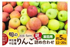 【25年10月発送】りんご【訳あり】旬のりんご 早生種・中生種詰め合わせ 約5kg（12～20玉程度）家庭用 toki farm 林檎 アップル 果実 果物 詰め合わせ 詰合 美味 
