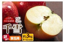 【25年10月～発送】りんご【訳あり】千雪 約3kg（8～12玉程度）家庭用 toki farm 林檎 アップル 果実 果物 美味