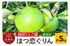 【25年10月～発送】りんご 【訳あり】 はつ恋ぐりん 約 5kg  前田りんご園