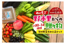 野市里からの贈り物（旬の野菜、加工品約10～14種類程度）【レビューキャンペーン】