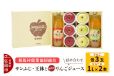 【25年11月～発送】りんご（サンふじ ・ 王林 各3玉）と無添加りんごジュース（1L×2本）詰め合わせ JA相馬村【レビューキャンペーン】