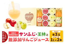 【25年11月～発送】りんご（サンふじ ・ 王林 各3玉）と無添加りんごジュース（1L×2本）詰め合わせ JA相馬村【レビューキャンペーン】