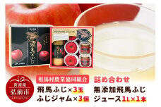 【25年11月～発送】りんご（飛馬ふじ×3玉）・無添加飛馬ふじジュース（1L×1本）・ふじジャム（3個）詰め合わせ JA相馬村【レビューキャンペーン】