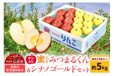 【25年11月～発送】りんご 蜜入り サンふじ（みつまるくん）＆シナノゴールド セット 約 5kg【レビューキャンペーン】