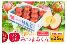 【25年11月～発送】りんご 蜜入り サンふじ（みつまるくん）約 2.5kg 糖度13度以上【レビューキャンペーン】