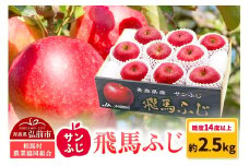 【25年11月～発送】りんご 糖度14度以上 「 飛馬ふじ 」（サンふじ）約 2.5kg【レビューキャンペーン】