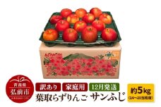 【25年12月発送】りんご 訳あり家庭用【年内発送】葉取らず サンふじ 約5kg（14～20玉程度）青森県特別栽培農産物認証農園【レビューキャンペーン】