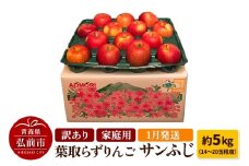 【26年1月発送】りんご 訳あり家庭用【年明け発送】葉取らず サンふじ 約5kg（14～20玉程度）青森県特別栽培農産物認証農園【レビューキャンペーン】