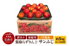 【26年1月発送】りんご 訳あり家庭用【年明け発送】葉取らず サンふじ 約5kg（14～20玉程度）青森県特別栽培農産物認証農園【レビューキャンペーン】