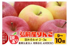 【25年10月～発送】りんご 訳あり【先行受付】 弘前産りんご 詰め合わせ 2～3種 家庭用 9～10個【レビューキャンペーン】