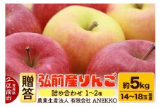 【25年10月～発送】りんご 弘前産りんご 詰め合わせ 1～2種 贈答規格 約5kg（14～18個程度）【レビューキャンペーン】
