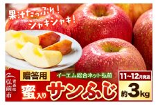 【25年11月～発送】りんご  贈答用 サンふじ 約3kg 糖度 13度以上【蜜入り】EMりんご【レビューキャンペーン】