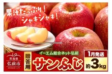【26年1月発送】りんご  贈答用 サンふじ 約3kg 糖度 13度以上 EMりんご【レビューキャンペーン】