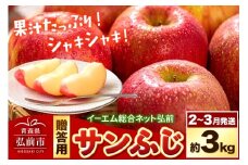 【26年2月～発送】りんご  贈答用 サンふじ 約3kg 糖度 13度以上 EMりんご【レビューキャンペーン】