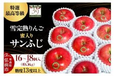 【25年12月発送】りんご 【 数量限定 】雪完熟りんご 最高等級 蜜入り 糖度13度以上 「特選」弘前市産 サンふじ 約 5kg 16～18個【レビューキャンペーン】