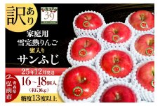 【25年12月発送】りんご 【 数量限定 】訳あり 雪完熟 家庭用 蜜入り 糖度13度以上 サンふじ 約 5kg 16～18個入り【レビューキャンペーン】