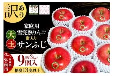 【25年12月発送】りんご 【 数量限定 】訳あり 雪完熟 家庭用 蜜入り 糖度13度以上 大玉 サンふじ 約3kg 9個入り【レビューキャンペーン】