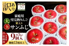 【25年12月発送】りんご 【 数量限定 】訳あり 雪完熟 家庭用 蜜入り 糖度13度以上 大玉 サンふじ 約3kg 9個入り【レビューキャンペーン】