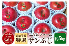 【25年12月発送】りんご ふみ丸ファーム 最高等級「特選」 サンふじ 約5kg【レビューキャンペーン】