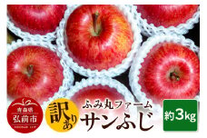 【25年12月発送】りんご ふみ丸ファーム【訳あり】サンふじ 3kg【レビューキャンペーン】