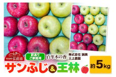【25年12月～発送】りんご 【訳あり】家庭用 百年木の香 三上農園 サンふじ ＆ 王林 約5kg【先行受付】 青森 果物 フルーツ 林檎 リンゴ くだもの 不揃い 規格外 予約【レビューキャンペーン】