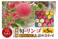 【25年9月～発送】りんご 家庭用 旬のリンゴ詰め合わせ 約5kg 糖度13度以上【レビューキャンペーン】