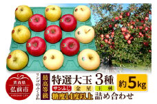【25年11月～発送】りんご 最高等級 特選大玉 3種詰め合わせ 約5kg（サンふじ・金星・王林）糖度14度以上【レビューキャンペーン】