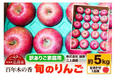 【25年12月～発送】りんご 【訳あり】家庭用 百年木の香 三上農園 旬のりんご 約5kg 品種おまかせ1品種【先行受付】 青森 果物 フルーツ 林檎 リンゴ くだもの 不揃い 規格外 予約【レビューキャンペーン】