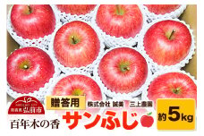 【25年12月～発送】りんご 贈答用 百年木の香 三上農園 サンふじ 約5kg【先行受付】 青森 果物 フルーツ 林檎 リンゴ くだもの 予約【レビューキャンペーン】