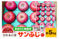 【25年12月～発送】りんご 【訳あり】家庭用 百年木の香 三上農園 サンふじ 約5kg【先行受付】 青森 果物 フルーツ 林檎 リンゴ くだもの 不揃い 規格外 予約【レビューキャンペーン】