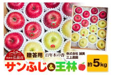 【25年12月～発送】りんご 贈答用 百年木の香 三上農園 サンふじ＆王林 約5kg【先行受付】 青森 果物 フルーツ 林檎 リンゴ くだもの 予約【レビューキャンペーン】