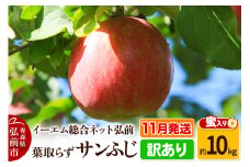 【25年11月発送】りんご【訳あり】葉取らず サンふじ 約10kg 糖度 13度以上【蜜入り】EMりんご【レビューキャンペーン】