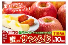 【25年11月発送】りんご【訳あり】葉取らず サンふじ 約10kg 糖度 13度以上【蜜入り】EMりんご【レビューキャンペーン】