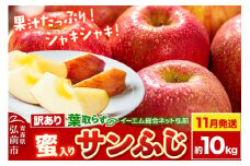 【25年11月発送】りんご【訳あり】葉取らず サンふじ 約10kg 糖度 13度以上【蜜入り】EMりんご【レビューキャンペーン】
