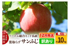 【25年12月発送】りんご【訳あり】葉取らず サンふじ 約10kg 糖度 13度以上【蜜入り】EMりんご【レビューキャンペーン】