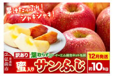 【25年12月発送】りんご【訳あり】葉取らず サンふじ 約10kg 糖度 13度以上【蜜入り】EMりんご【レビューキャンペーン】