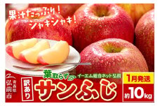 【26年1月発送】りんご【訳あり】葉取らず サンふじ 約10kg 糖度 13度以上 EMりんご【レビューキャンペーン】