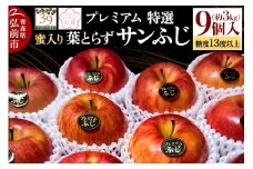 【25年12月発送】りんご 【 数量限定 】糖度13度以上 「特選」 プレミアム 蜜入り 葉とらずサンふじ 約 3kg 9個入り【レビューキャンペーン】