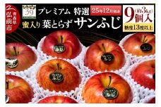 【25年12月発送】りんご 【 数量限定 】糖度13度以上 「特選」 プレミアム 蜜入り 葉とらずサンふじ 約 3kg 9個入り【レビューキャンペーン】