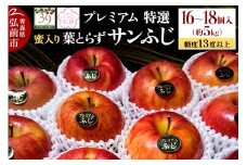 【25年12月発送】りんご 【 数量限定 】糖度13度以上 「特選」プレミアム 蜜入り 葉とらずサンふじ 約 5kg 16～18個【レビューキャンペーン】