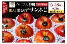 【25年12月発送】りんご 【 数量限定 】糖度13度以上 「特選」プレミアム 蜜入り 葉とらずサンふじ 約 5kg 16～18個【レビューキャンペーン】