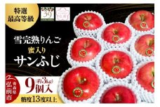 【25年12月発送】りんご 【 数量限定 】雪完熟りんご 最高等級 蜜入り 糖度13度以上 「特選」 サンふじ 約 3kg 9個入り【レビューキャンペーン】