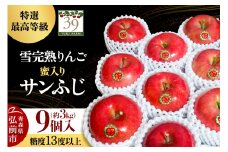 【25年12月発送】りんご 【 数量限定 】雪完熟りんご 最高等級 蜜入り 糖度13度以上 「特選」 サンふじ 約 3kg 9個入り【レビューキャンペーン】