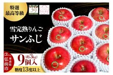 【26年1月～発送】りんご 【 数量限定 】雪完熟りんご 最高等級 糖度13度以上 「特選」 サンふじ 約 3kg 9個入り【レビューキャンペーン】